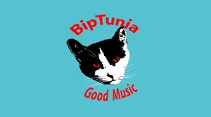 Biptunia radio