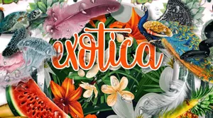 Exotica