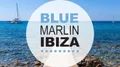 Blue Marlin logo