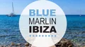 Blue Marlin logo