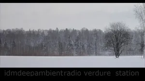 Verdure radio